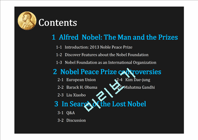 The Nobel Peace Prize What Nobel Really Wanted   (3 )